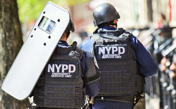  Pain and Suffering Damages Award against Police Department